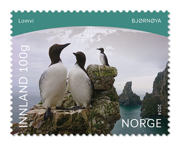 NK 2116 Lomvi Bjørnøya